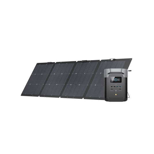 Générateur solaire EcoFlow DELTA 2 (PV220W)