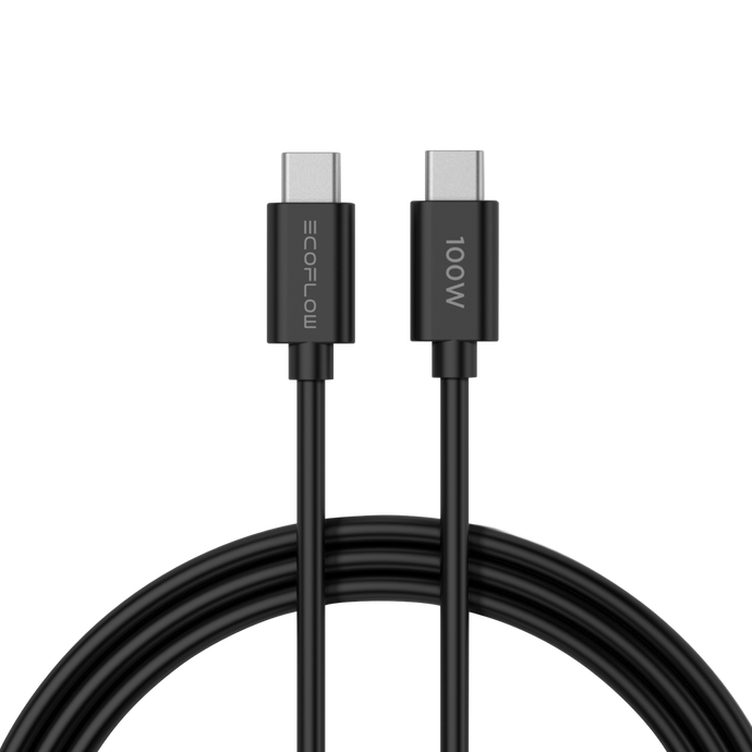 Chargeur EcoFlow RAPID 65 W GaN avec câble 100 W