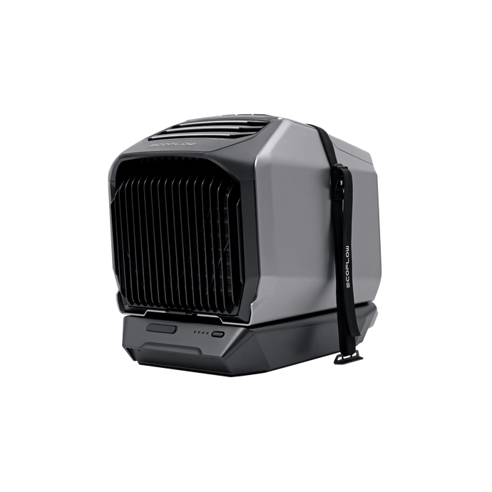 Kit de sangles stabilisatrices EcoFlow série WAVE