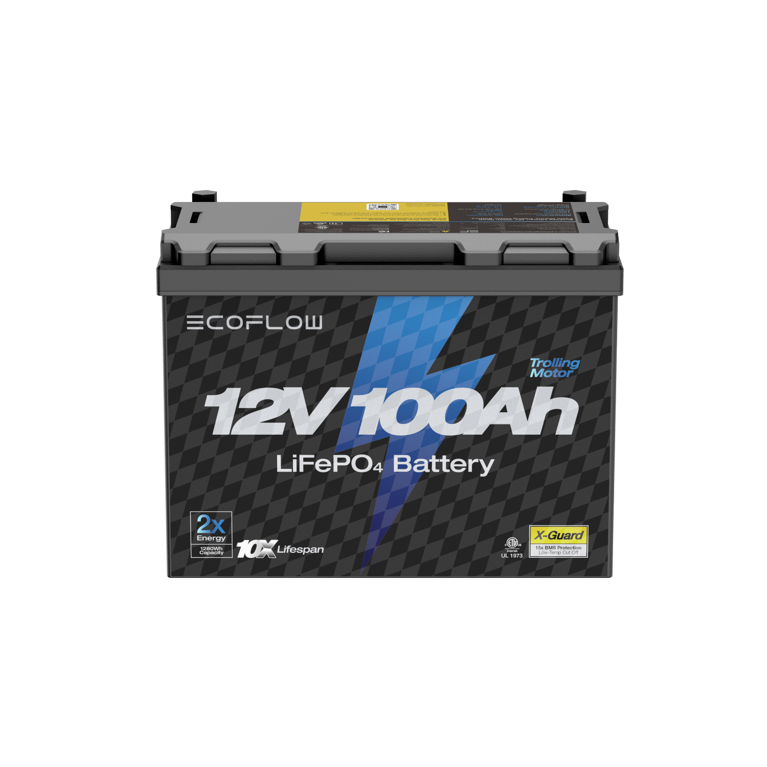 Load image into Gallery viewer, EcoFlow Lithium 12V 100Ah Deep Cycle Marine Trolling Motor Battery