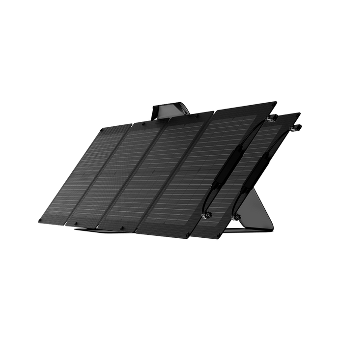 EcoFlow 110W Solar Panel*2