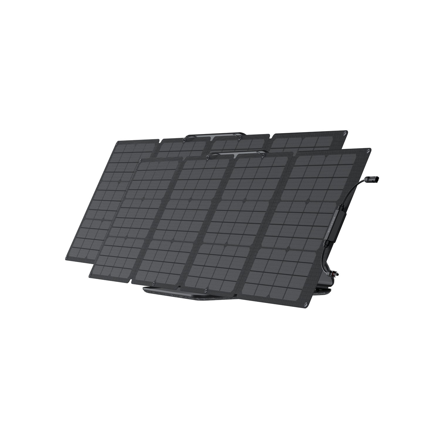 110Wx2.png?v=1715849774
