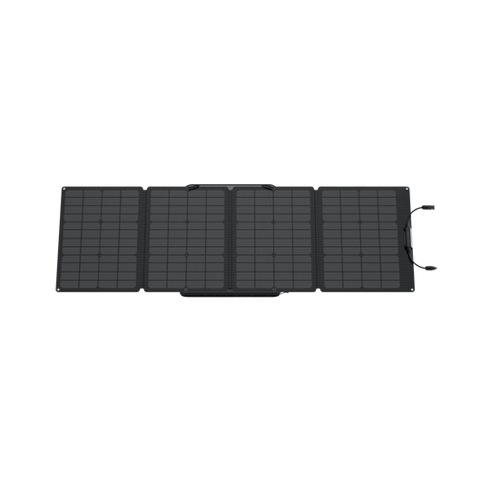 Panneau solaire portable EcoFlow 110 W offert