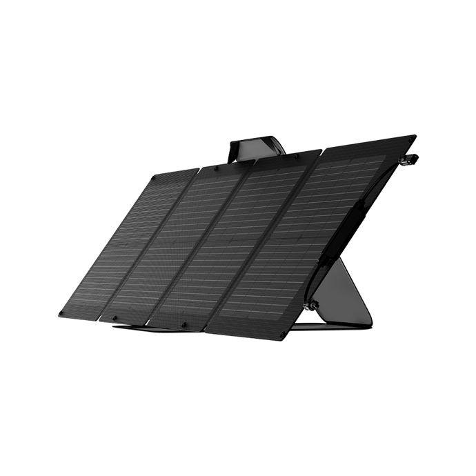 🎁 EcoFlow 110W Portable Solar Panel (100% off)