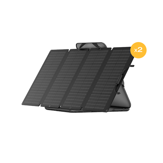 EcoFlow 160W Portable Solar Panel × 2 (Flash Sale)