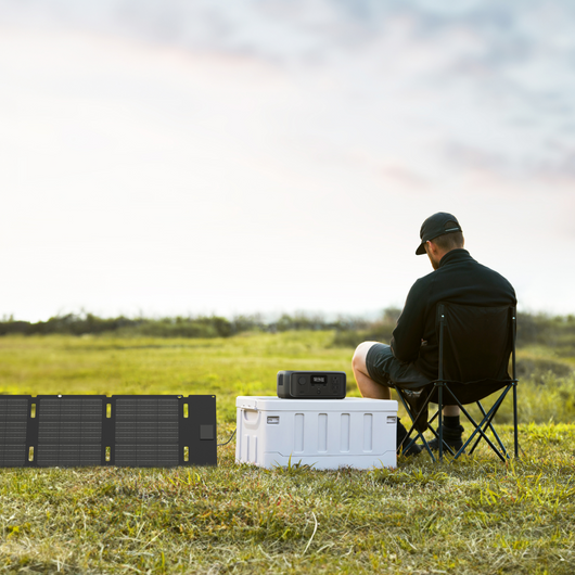 Panneau solaire portable EcoFlow 45 W 