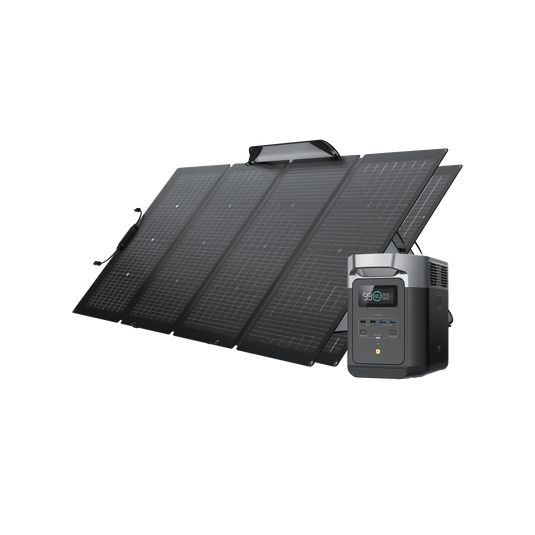 EcoFlow DELTA 2 + 2*110W Portable Solar Panel - Flash Sale