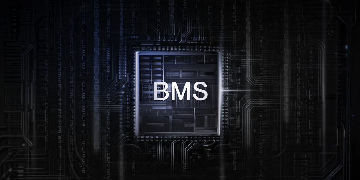 Dual BMS Protection