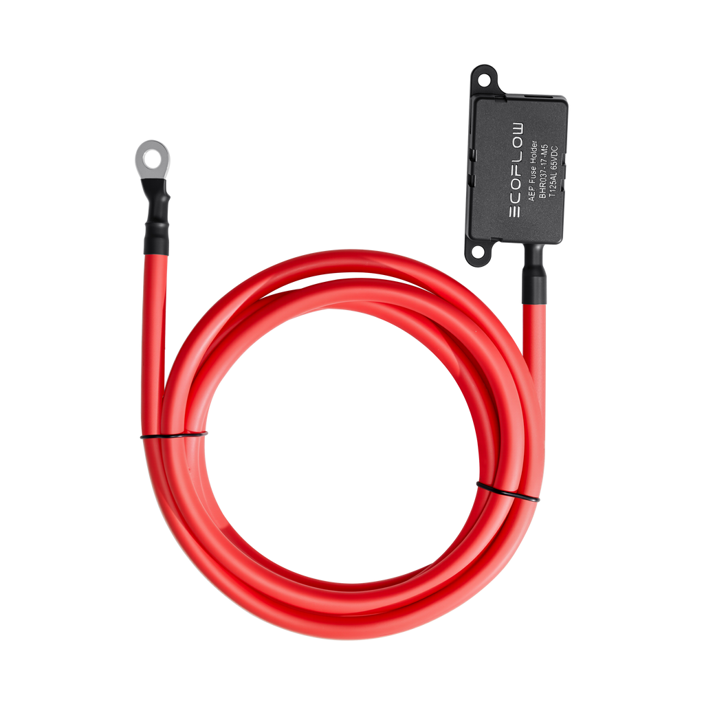 エコフロー　ALTERNATOR CHARGER EcoFlow Alternator Charger Extended Fuse Cable (2m)