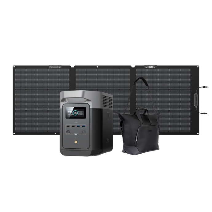 EcoFlow DELTA 2 + 160W Portable Solar Panel + Free Bag