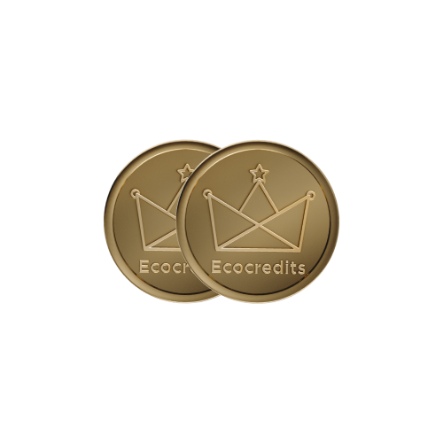 1000 EcoCredits - Flash Sale