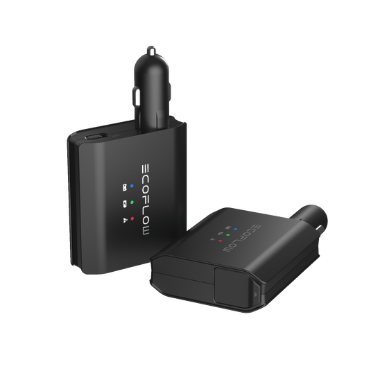 EcoFlow Smart Auto Battery Charger