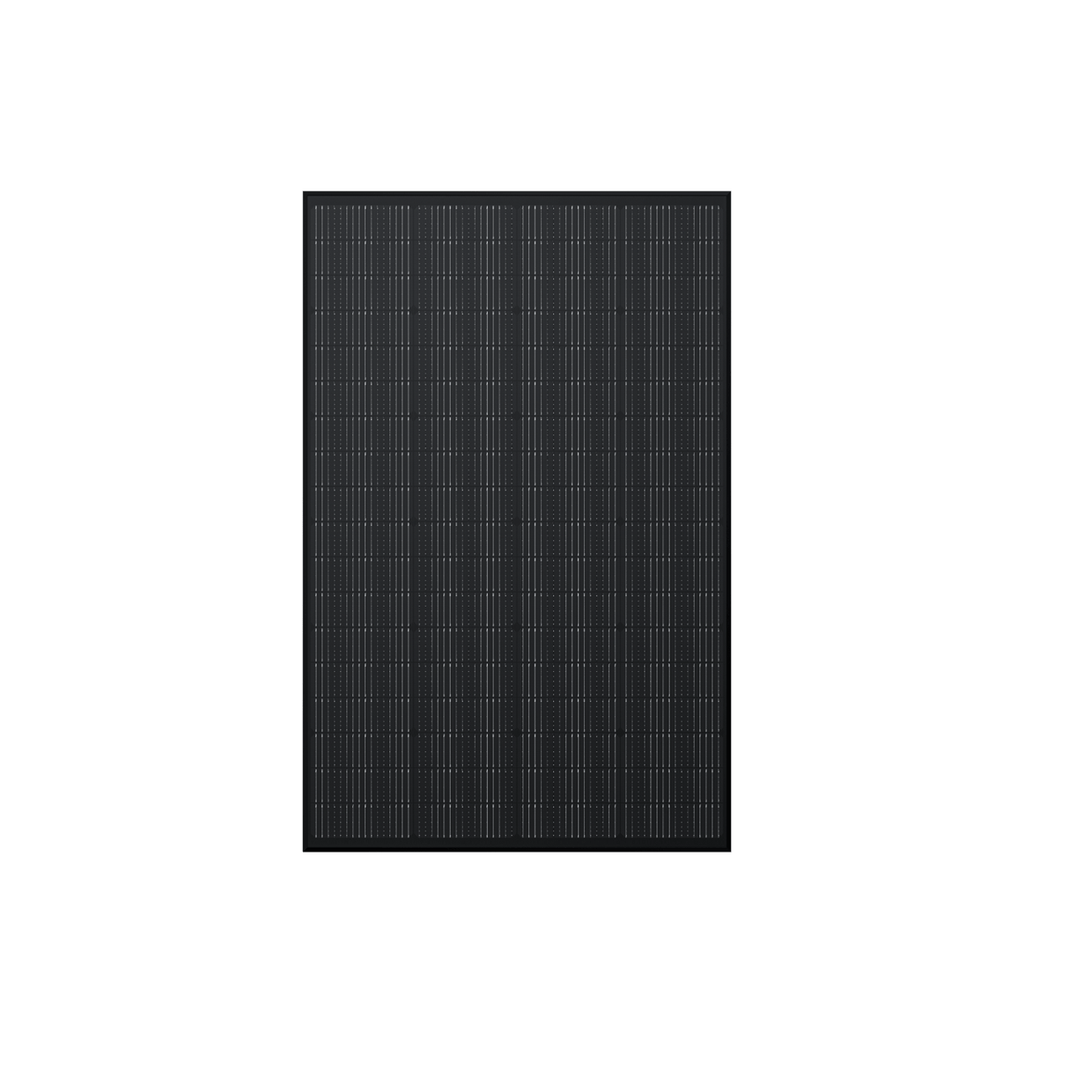 Panneau solaire rigide EcoFlow 175 W 