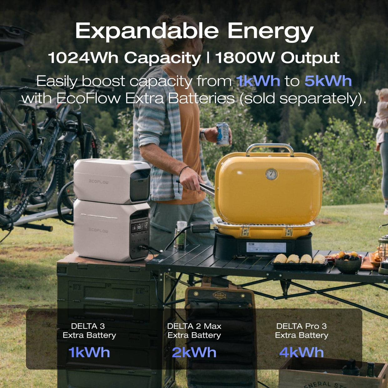 Centrale électrique portable EcoFlow DELTA 3 Plus