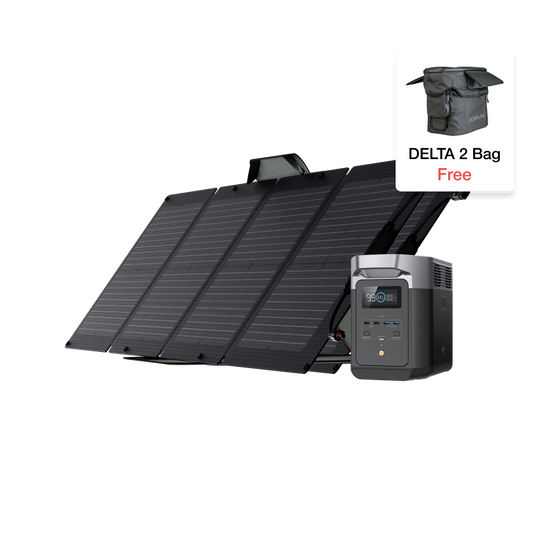 EcoFlow DELTA 2 + 2X110W Solar Panel + DELTA 2 Bag