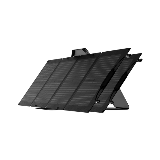 Panneau solaire EcoFlow 110 W*2