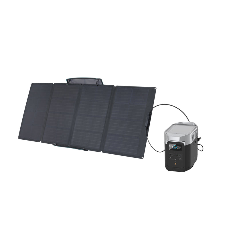 Load image into Gallery viewer, EcoFlow DELTA 2 + 160W Portable Solar Panel
