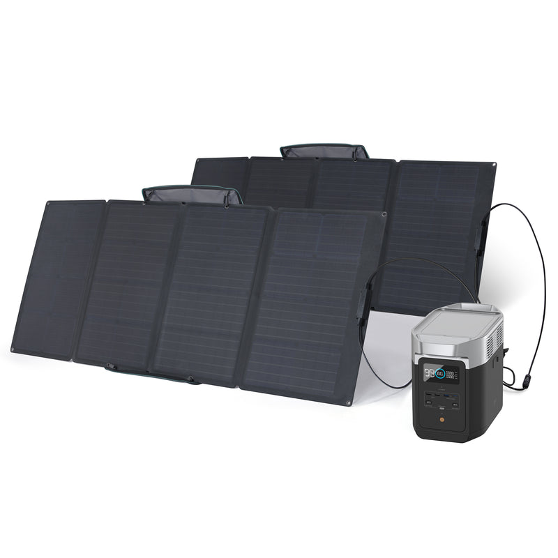 Load image into Gallery viewer, EcoFlow DELTA 2 + 160W Portable Solar Panel

