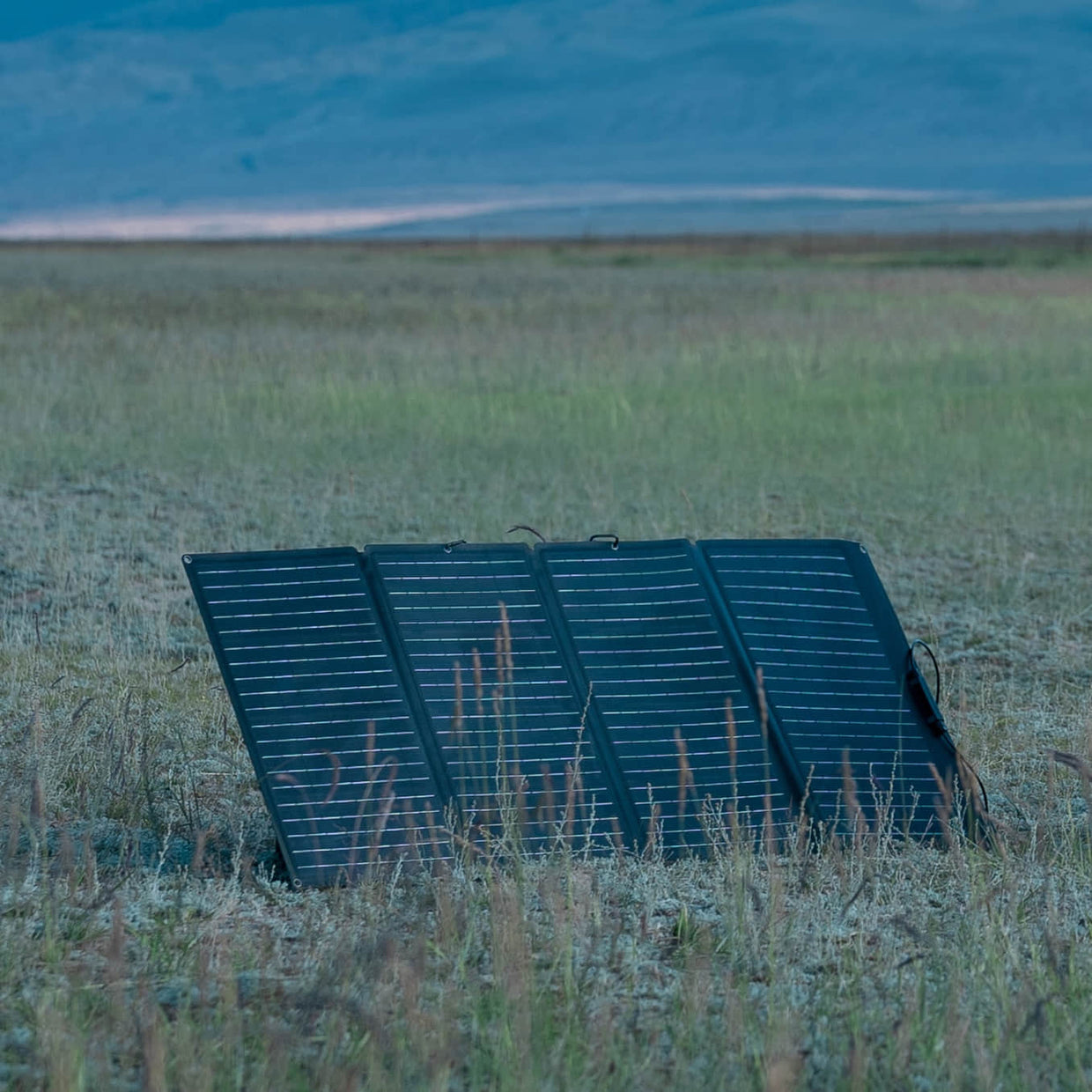 EcoFlow 160W Portable Solar Panel (Refurbished)