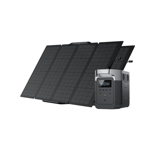 EcoFlow DELTA 1000 Solar Generator (PV160W)