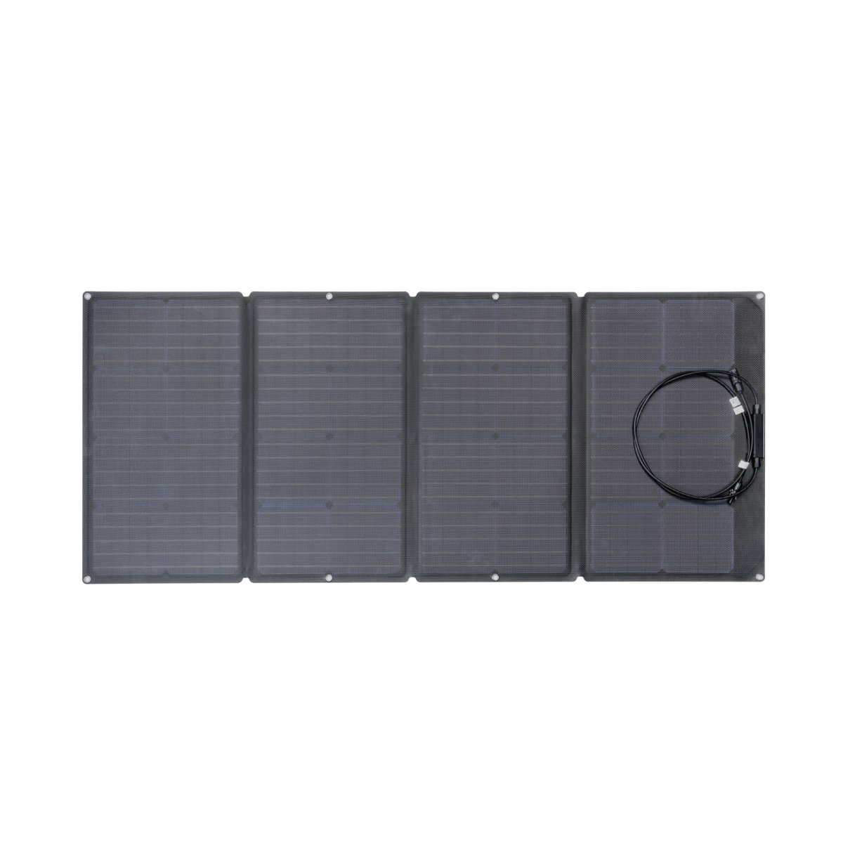 EcoFlow 160W Portable Solar Panel (Refurbished) - Default Title