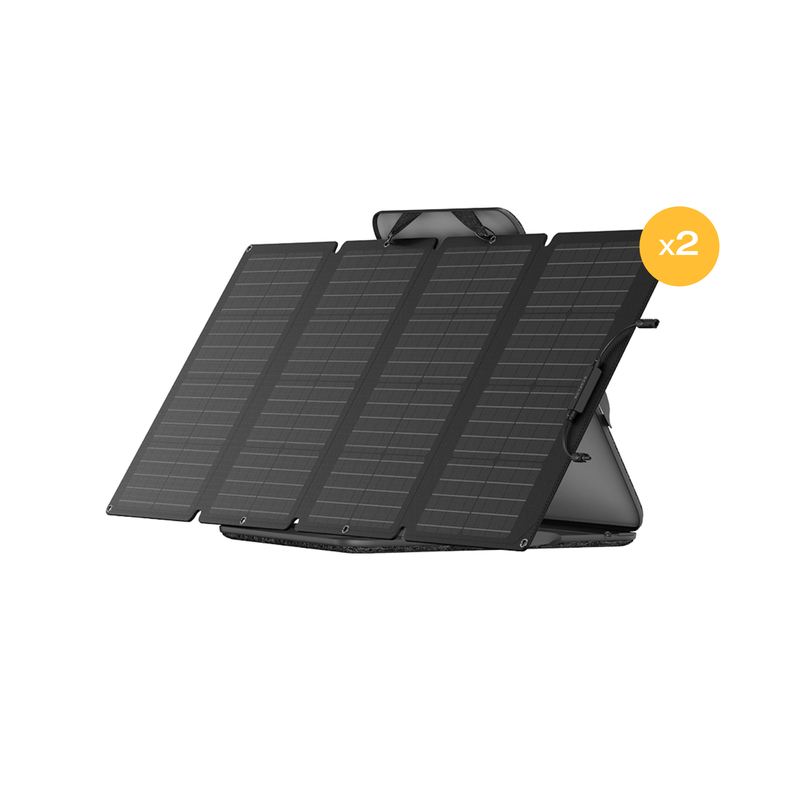 Load image into Gallery viewer, EcoFlow US Solar Panels EcoFlow 160W Portable Solar Panel*2
