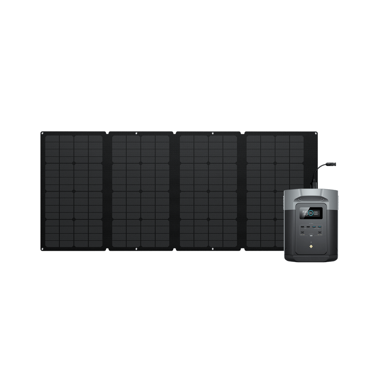 EcoFlow US EcoFlow DELTA 2 Max + 160W Portable Solar Panel