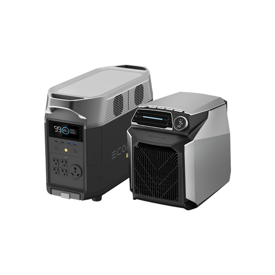 EcoFlow Wave Portable Air Conditioner + EcoFlow DELTA Pro